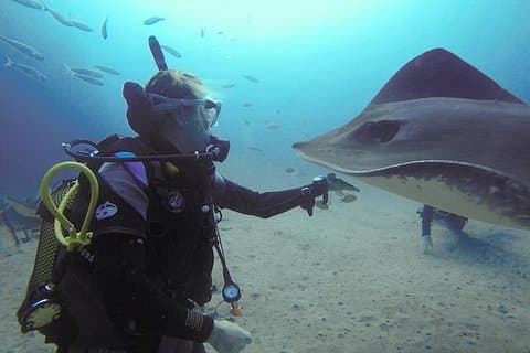 Curso Especializado de identificación de peces SSI en Tenerife - 7