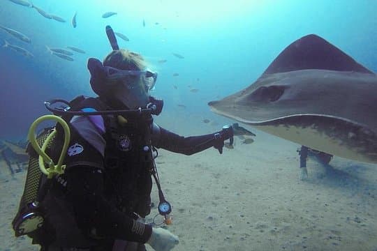 Curso Especializado de identificación de peces SSI en Tenerife - 5