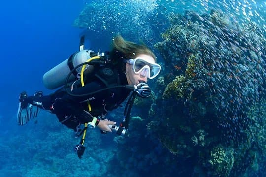 Curso de submarinismo en aguas abiertas PADI en Tenerife - 7