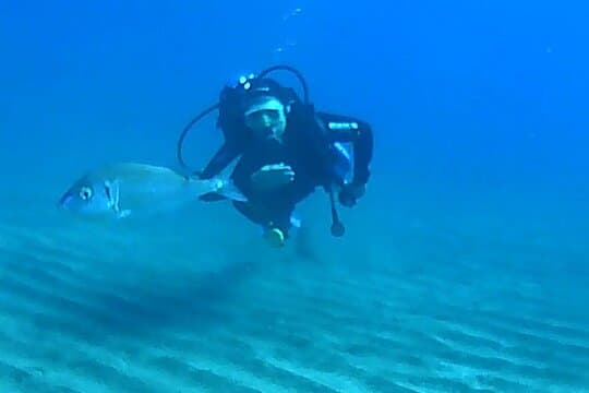 Buceo con instructor experto - 7