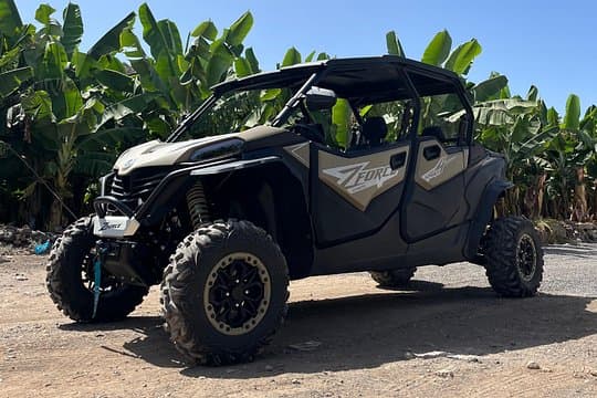 Tour en buggy gigante por el Teide, Tenerife (4 plazas) - 8