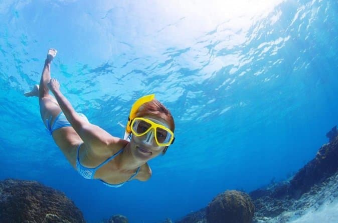 Excursión exclusiva de buceo guiada por un biólogo marino - 4
