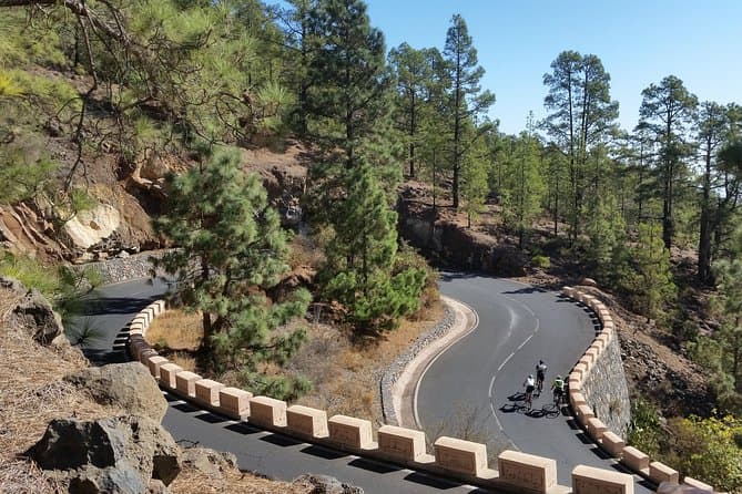 Ruta al Teide - 7