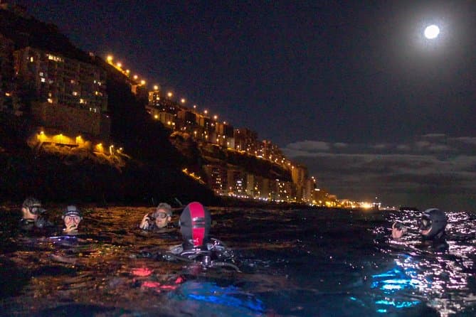 Buceo nocturno en Tenerife - 7