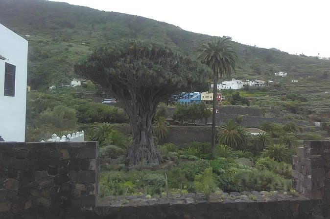 Teide. - 8