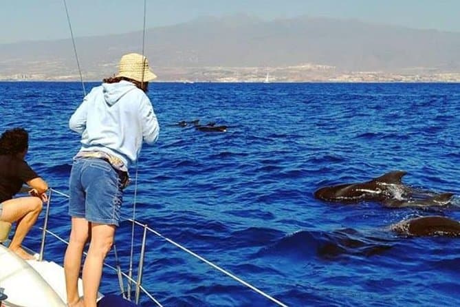 Whale and Dolphin Small Group Sailing from Tenerife South - 7