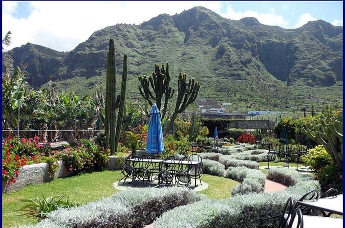 Go West - Tour privado VIP en Tenerife a Masca, Garachico e Icod - 8