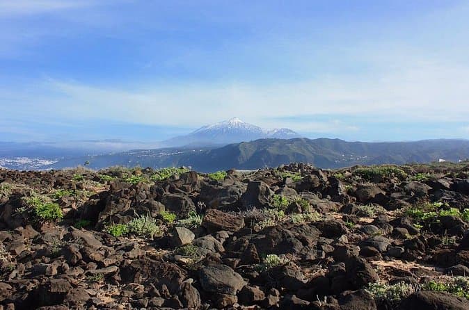 Tour privado de 8 horas a El Teide desde el hotel Tenerife con conductor / guía - 8