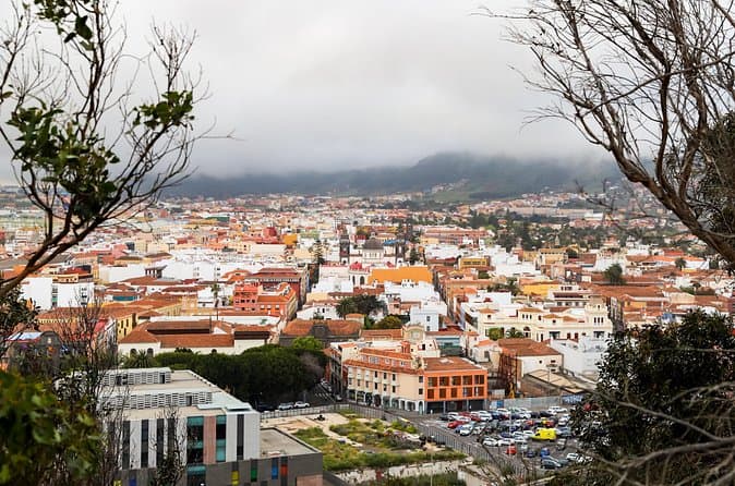 Tour privado de 4 horas al Patrimonio de la UNESCO La Laguna desde Tenerife con conductor / guía - 7