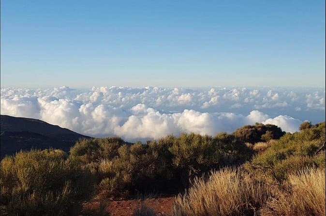 Excursión privada en tierra en Tenerife desde su crucero - 7