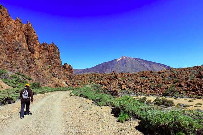 Excursión privada de un día completo a la cima del Teide: vaya de excursión y regrese en teleférico - 8