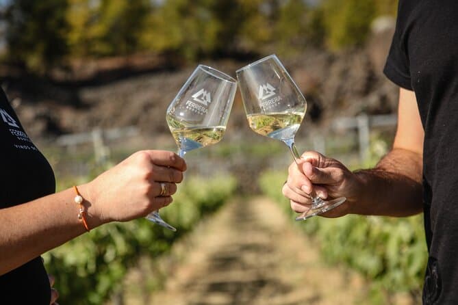 Visita a Viñedo de Montaña en Arafo y Cata de Vinos Ecológicos - 8