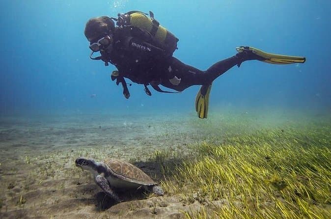 SSI Open Water, Tenerife Sur - 8
