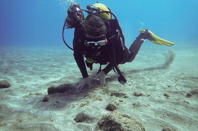 Curso Padi De Iniciación Al Buceo En Tenerife: 2 Inmersiones - 7