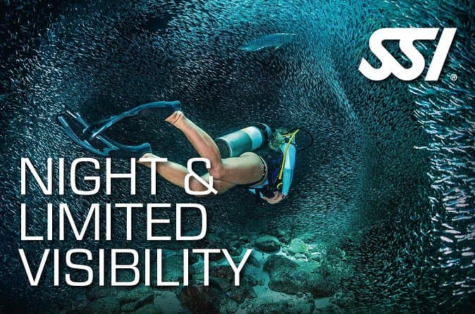 SSI Night Dive Specialty en Tenerife - 5