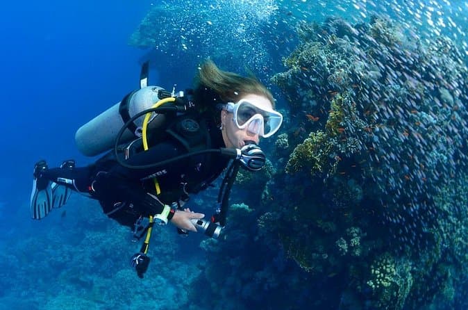 Curso de submarinismo en aguas abiertas PADI en Tenerife - 4