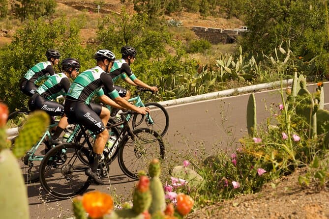 Ciclismo en ruta Tenerife - Ruta de Vilaflor - 7