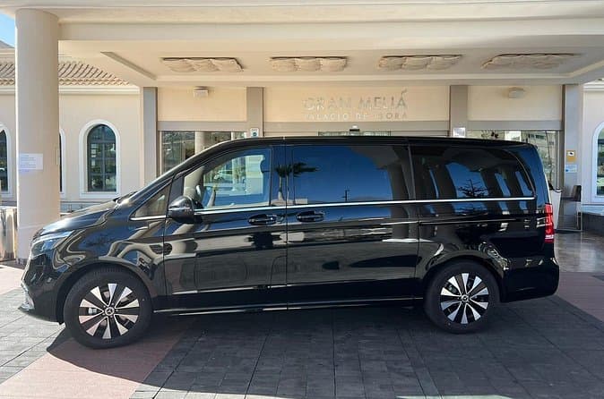 Alquiler 8 Horas en Coche de Lujo y Conductor/guía oficial Privado en Tenerife - 8