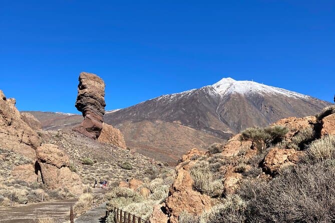 Tour Privado al Parque Nacional del Teide Minimo 3 persons - 8