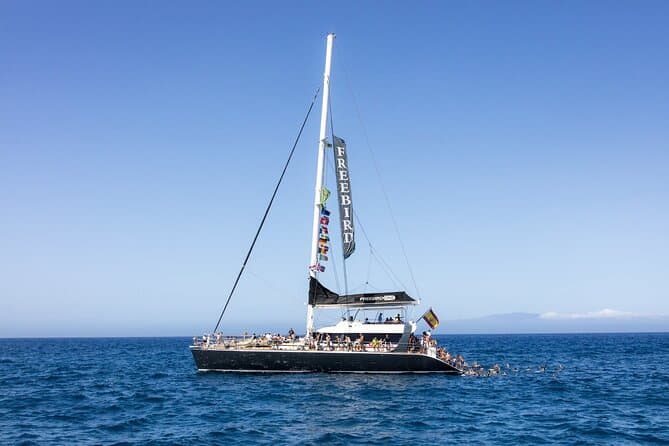 Solo Adultos Tenerife Freebird Ballena Delfín Catamarán con Almuerzo - 8