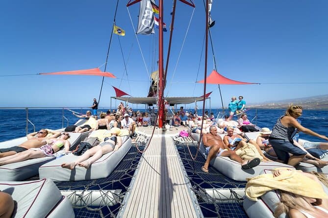 Exclusivo crucero en catamarán Freebird para avistar ballenas y delfines a Caleta - 7