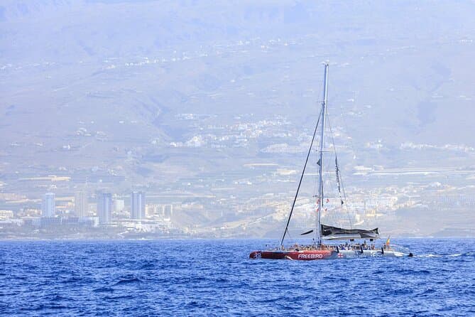 Exclusivo crucero en catamarán Freebird para avistar ballenas y delfines a Caleta - 8