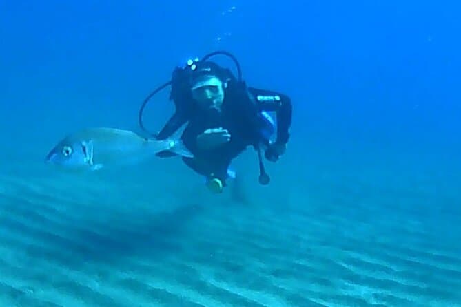 Buceo con instructor experto - 4
