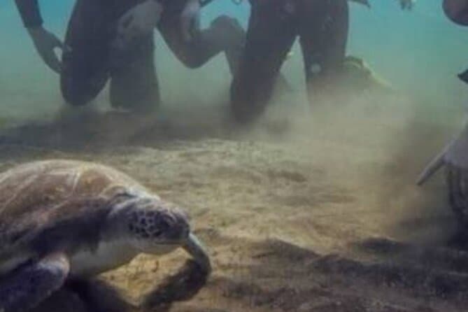 Buceo con instructor experto - 6
