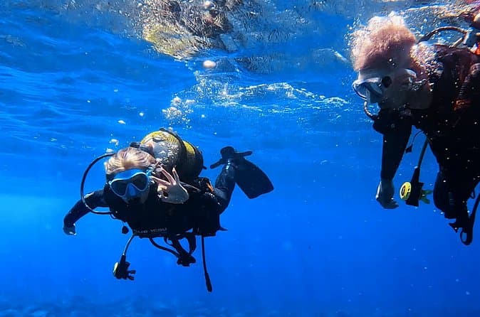 Tenerife: Experiencia de Buceo en Grupo Reducido en Los Cristianos - 8