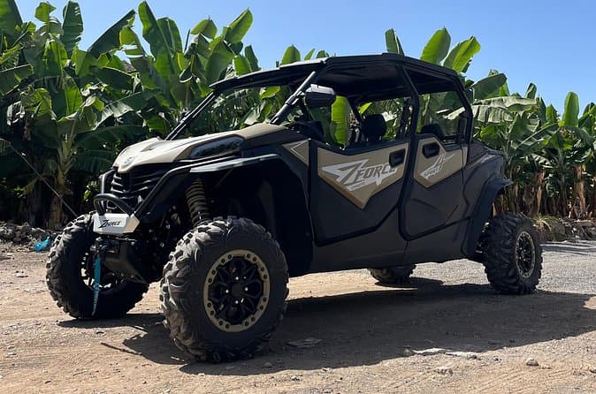 Tour en buggy gigante por el Teide, Tenerife (4 plazas) - 5