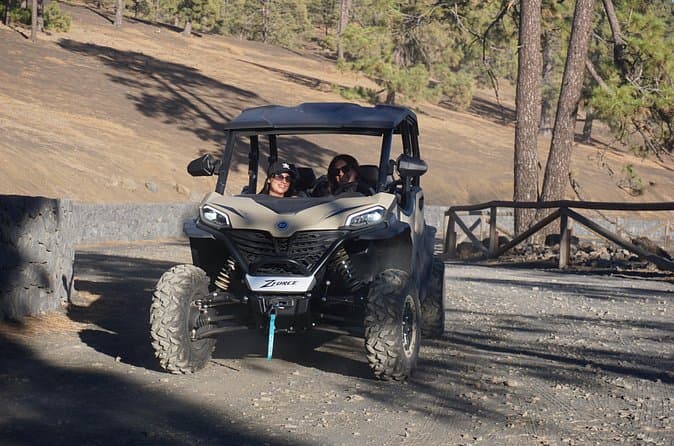 Tour en buggy gigante por el Teide, Tenerife (4 plazas) - 6