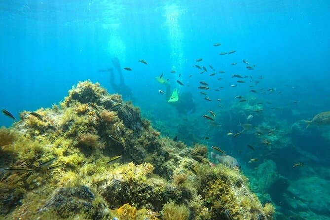 Buceo en Tortuga y Rayas - 3