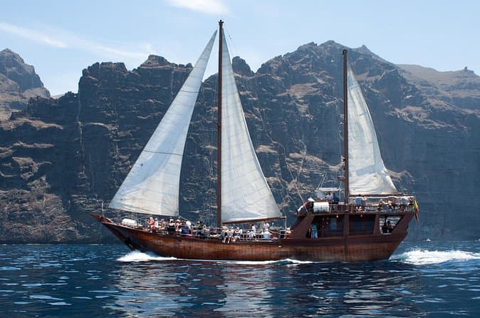 Tenerife: Ballenas y Delfines con Comida y Baño en Los Gigantes - 8