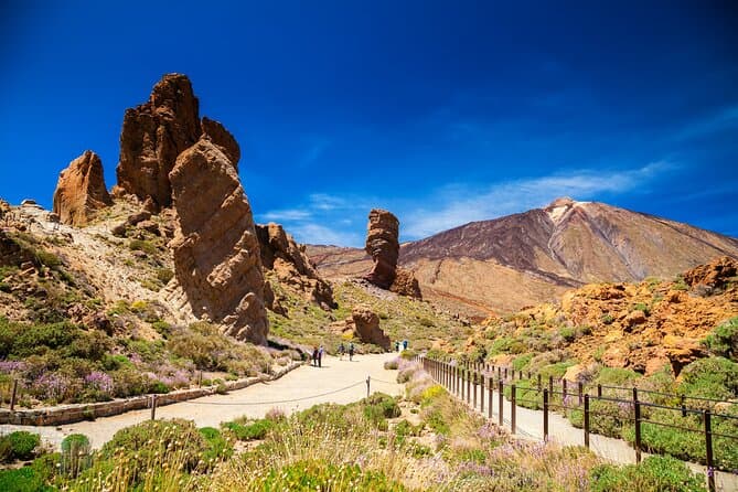 Parque Nacional del Teide Paisajes y vida silvestre del volcán Safari Ride - 8