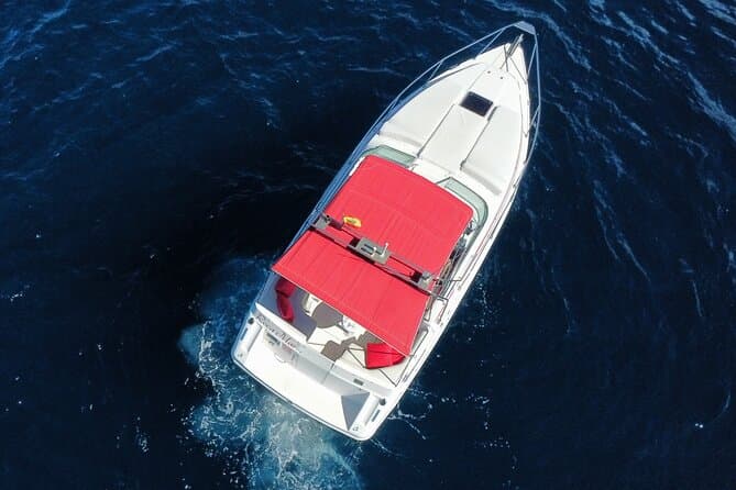 Crucero privado de lujo de 2 horas con champán y snorkel - 6