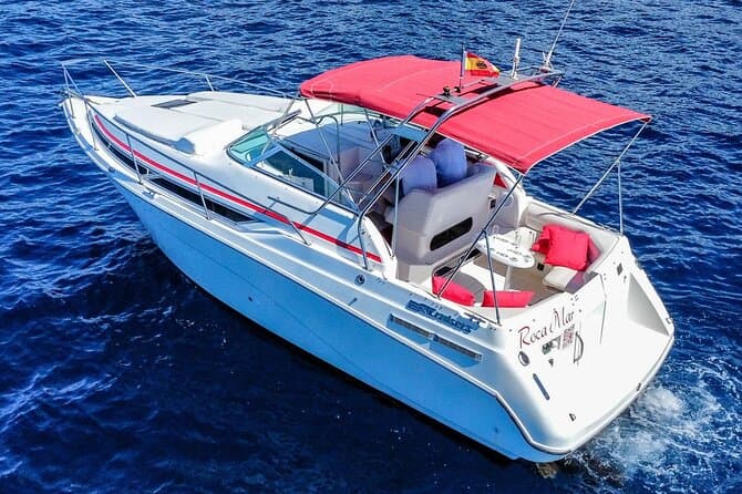 Crucero privado de lujo de 2 horas con champán y snorkel - 8