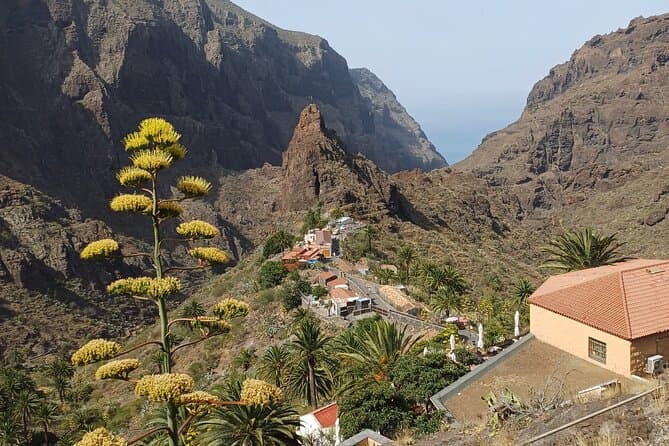 Tour Privado Tenerife en Masca, Los Gigantes y Piscinas Naturales - 7