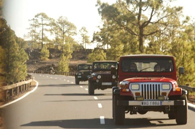 Excursión en jeep al atardecer desde el sur de Tenerife - 8