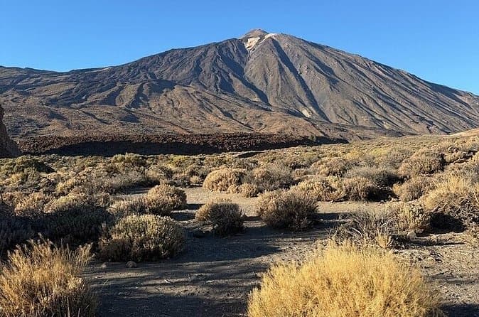 Tour Privado Parque Nacional del Teide de Tenerife y Restaurante Canario - 7