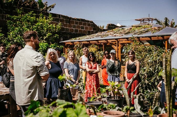 Descubre el oasis escondido de Tenerife: Visita a una granja sostenible - 8