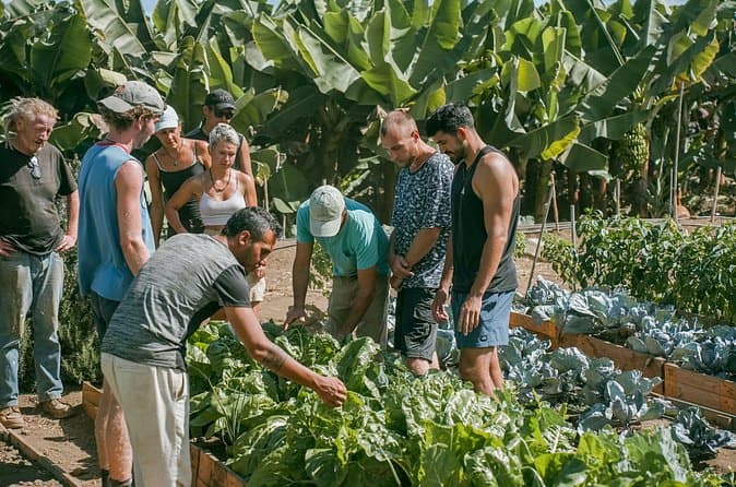 Descubre el oasis escondido de Tenerife: Visita a una granja sostenible - 7