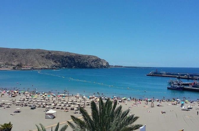 Tour por las playas del sur de Tenerife con guía - 5