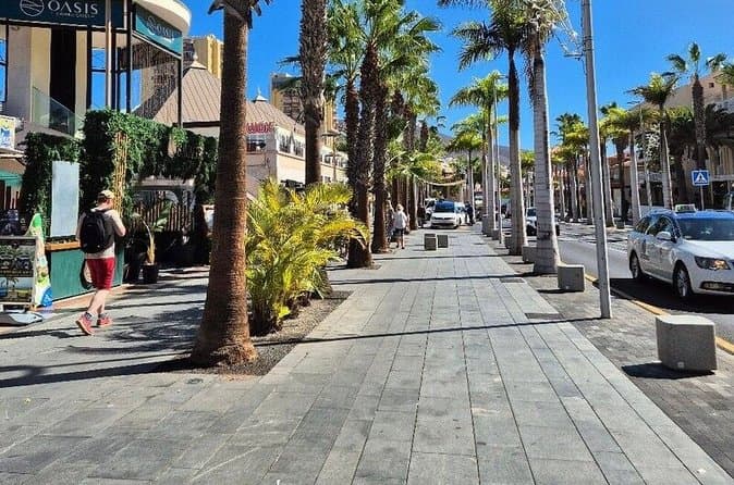 Tour por las playas del sur de Tenerife con guía - 6