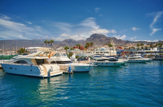 Tour Privado en Costa : Aventura de avistamiento de ballenas en Costa Adeje - 6