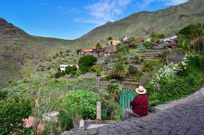 Tour Privado por tierra : Masca Eco Experience - 7