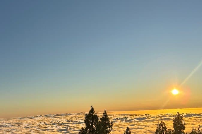 Tour al Parque Nacional del Teide en minibús - 8