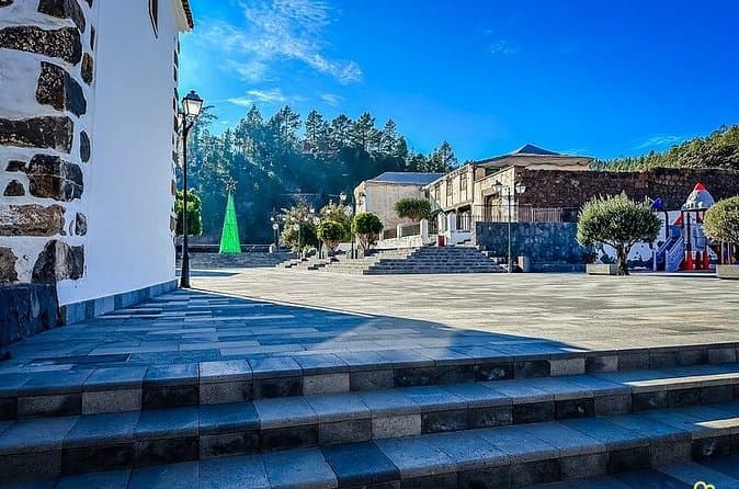 Your Private Trip to the Heart of Tenerife - 8