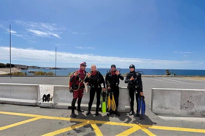 Tenerife Experiencia de buceo principiante con fotos y vídeos - 8