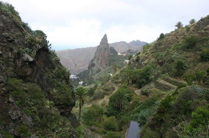 Excursión a La Gomera desde Norte de Tenerife - 7