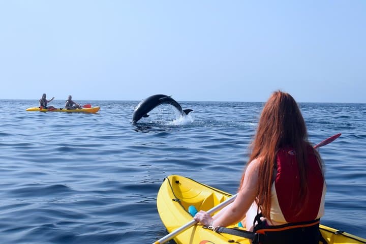 Kayak con delfines en Tenerife - 5